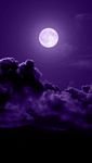 pic for Purple Moon 
